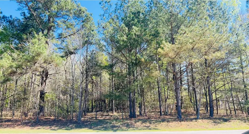 142 Brown Meadows Court, Orangeburg, SC 29115 - #1