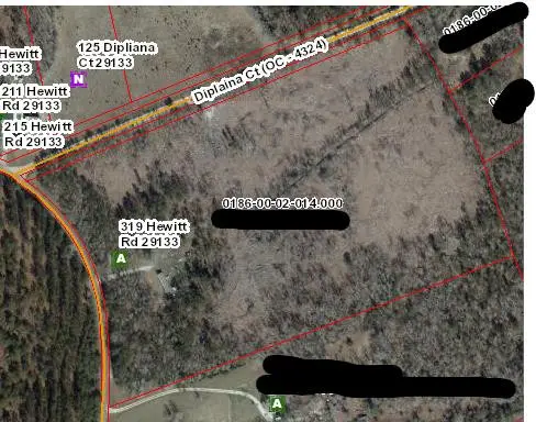 319 Hewitt Road, Rowesville, SC 29133 - #1