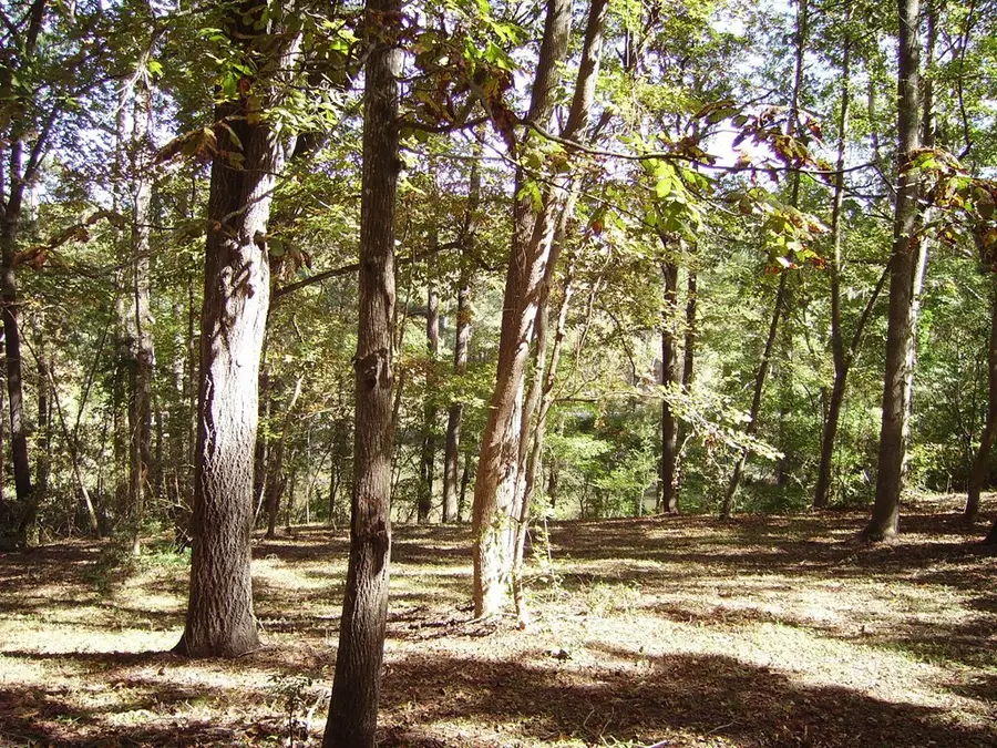 0 Sandy Landing Lane, Cottageville, SC 29435 - #2