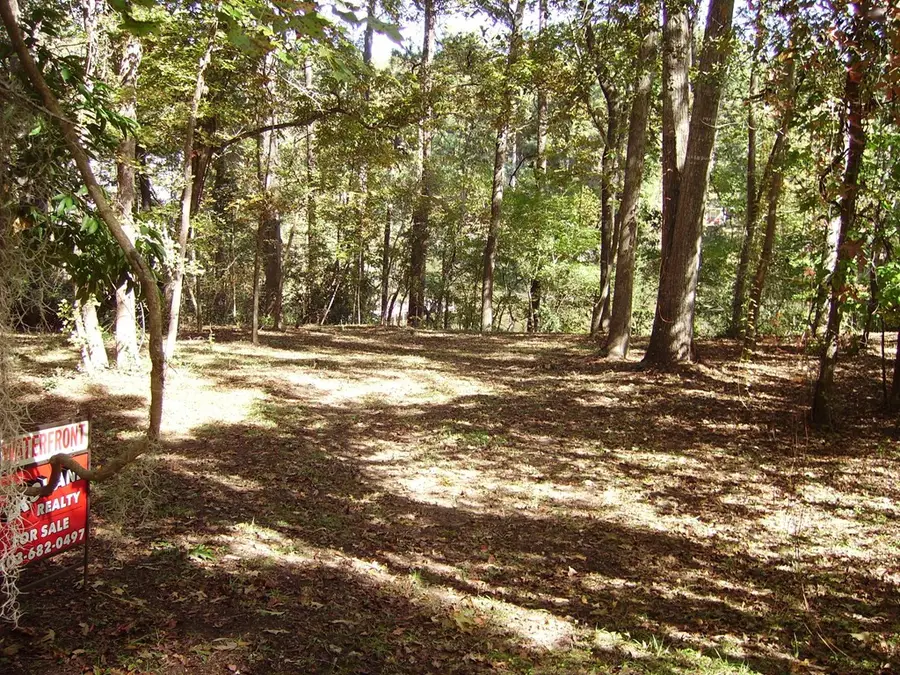 0 Sandy Landing Lane, Cottageville, SC 29435 - #3