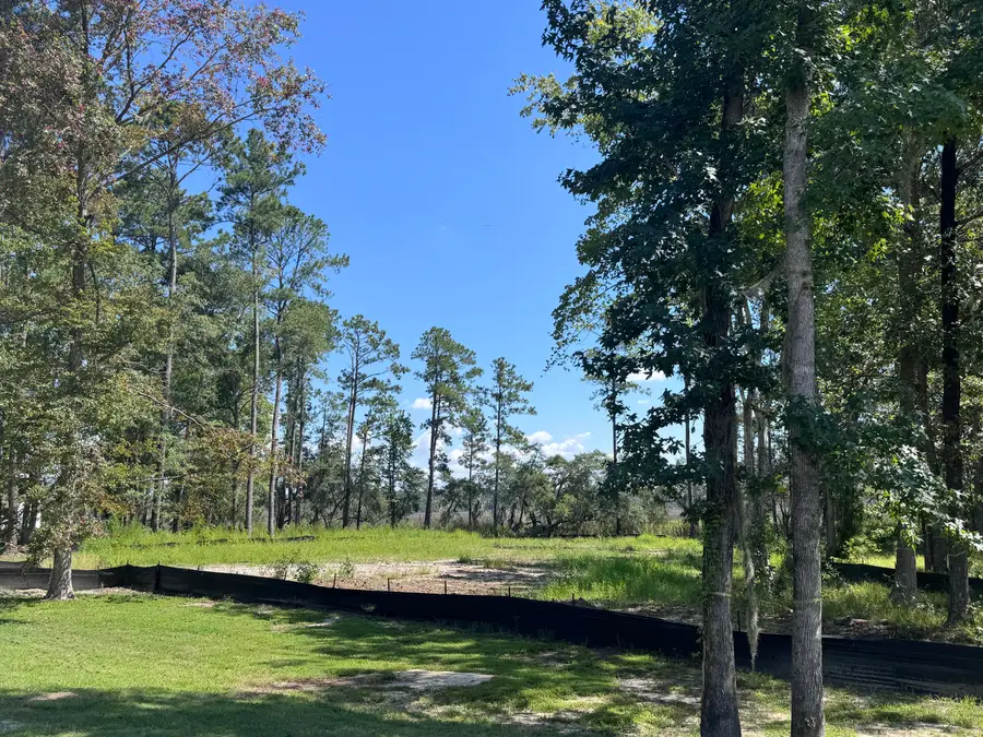 106 Peninsula Drive, Ravenel, SC 29470 - #3