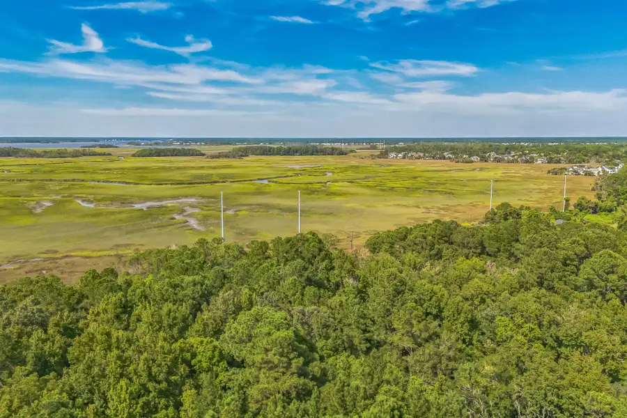 1638 Evelina Street, Mount Pleasant, SC 29464 - #3