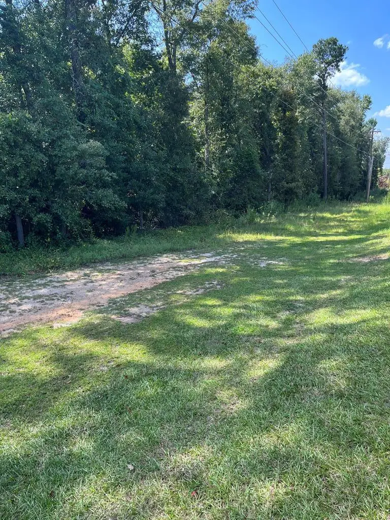 00 Columbia Road, Saint Matthews, SC 29135 - #1