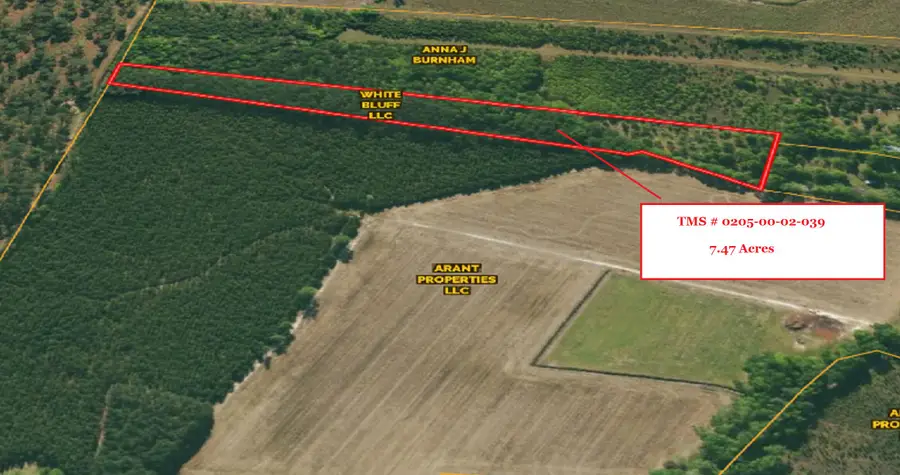 0 Eddie Lane, Orangeburg, SC 29115 - Image #3