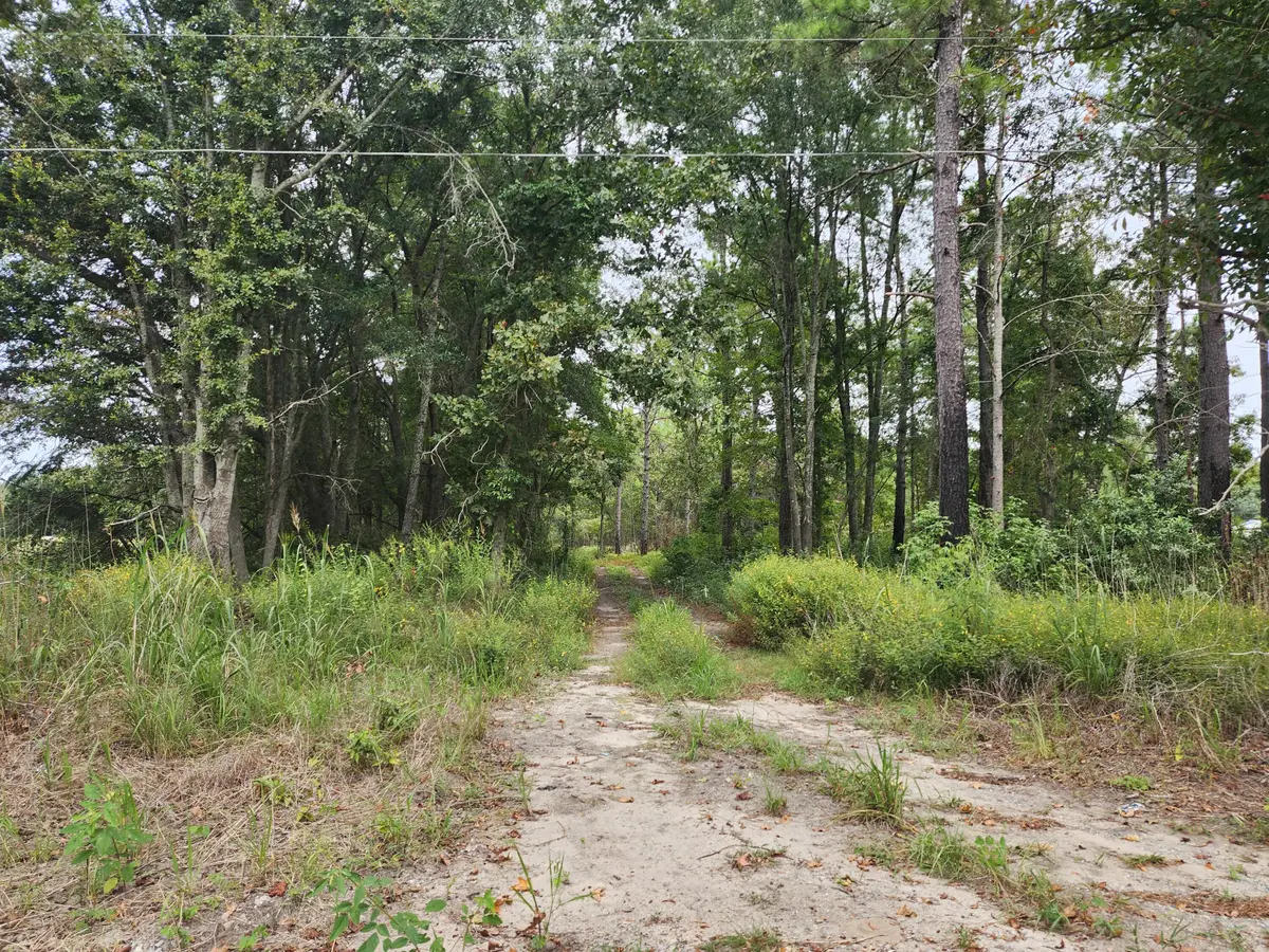 0 Spring Dell Way, Saint Stephen, SC 29479 - Image #1