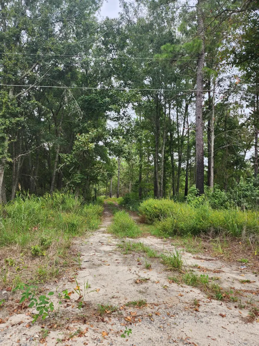 0 Spring Dell Way, Saint Stephen, SC 29479 - Image #2