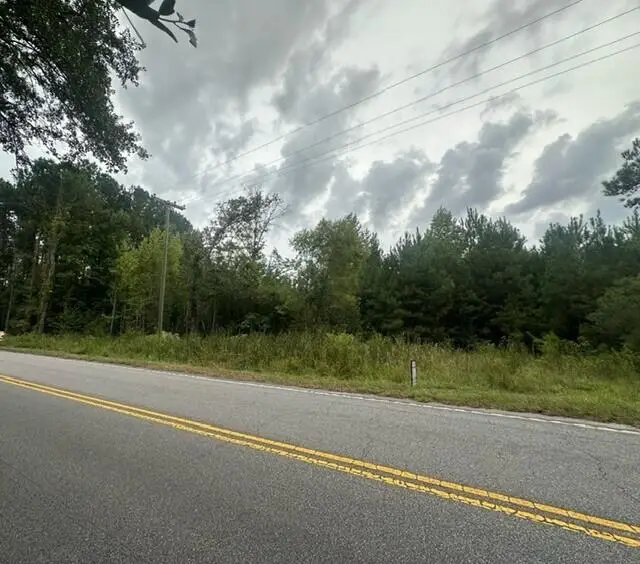 3337 Steed Creek Road, Huger, SC 29450 - Image #3