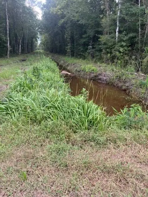 6572 N Hwy 17, Awendaw, SC 29429 - #2