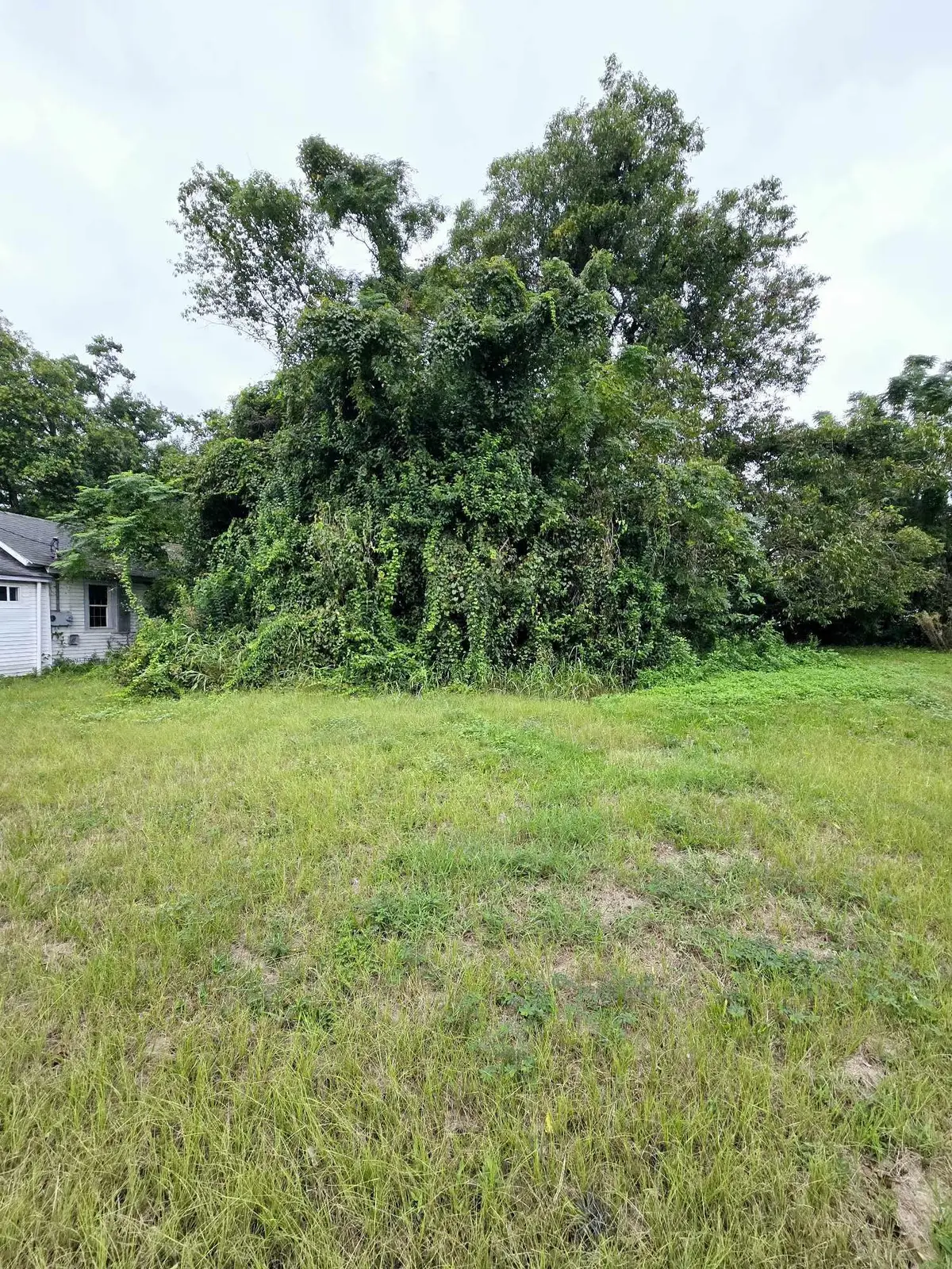 1990 Irving Avenue, North Charleston, SC 29405 - #1