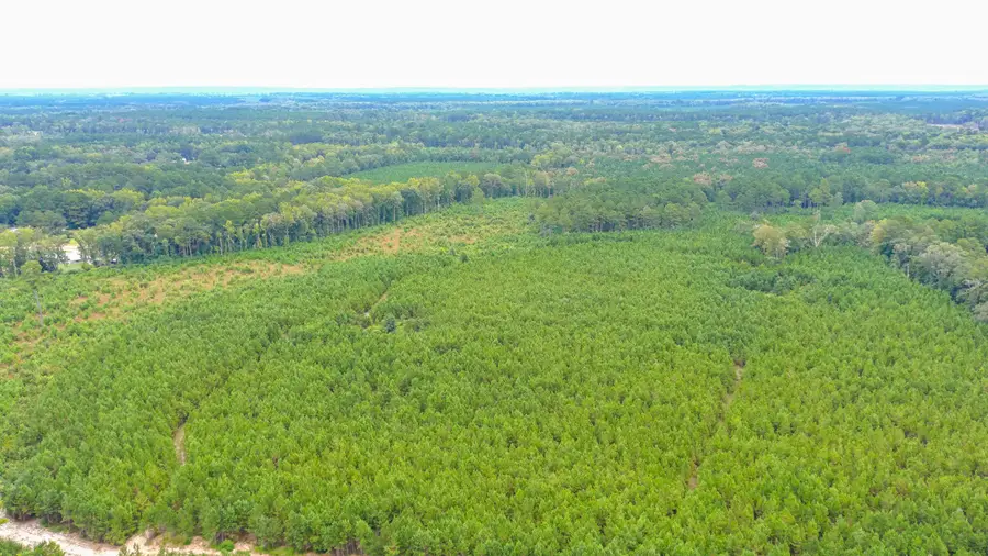 0 Charleston Highway, Walterboro, SC 29488 - #3