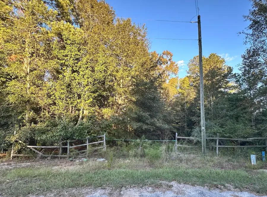 214 Sparklewood Drive, Orangeburg, SC 29115 - Image #2