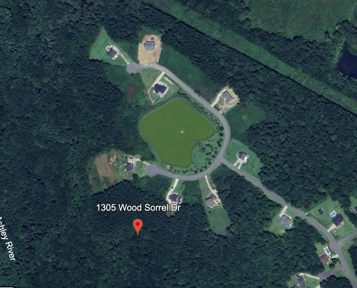 1305 Wood Sorrel Drive, Moncks Corner, SC 29461 - Image #1