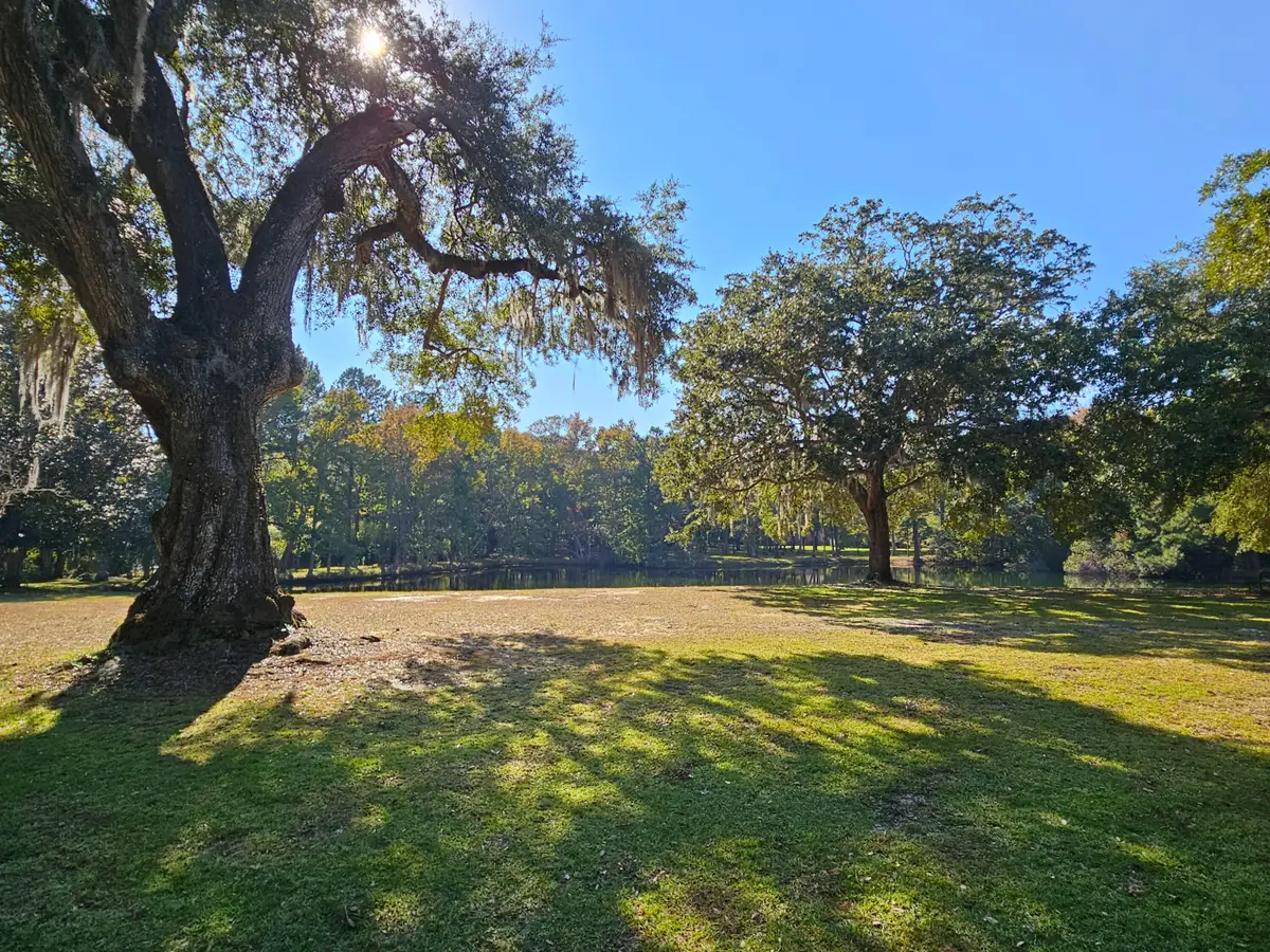 4139 Pritchard Green Road, Awendaw, SC 29429 - Image #1