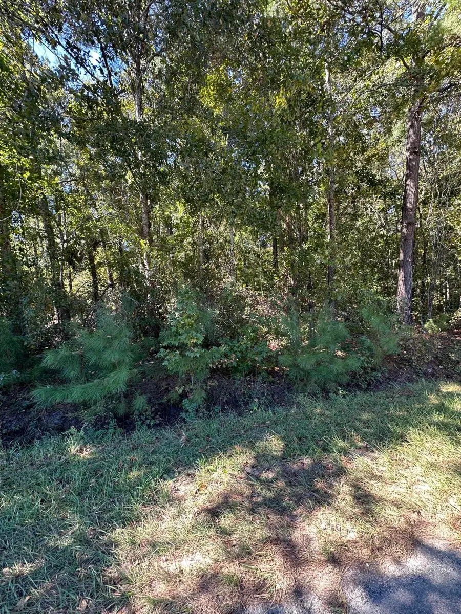 126 Old Still Lane, Bonneau, SC 29431 - #3