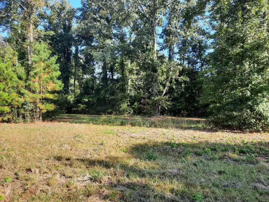 769 Main Road, Johns Island, SC 29455 - Image #2