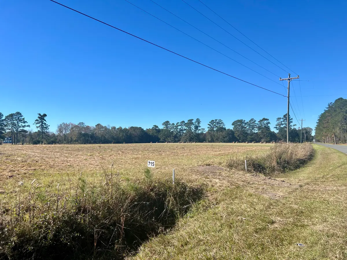 715 Nunuville Road, Walterboro, SC 29488 - #1