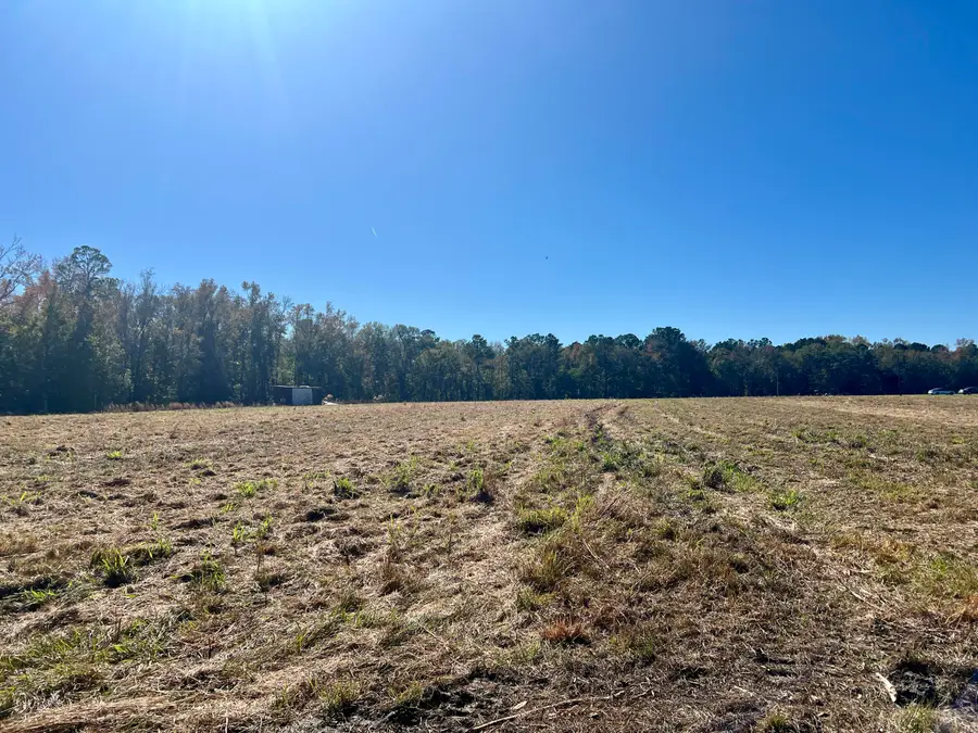 715 Nunuville Road, Walterboro, SC 29488 - #3