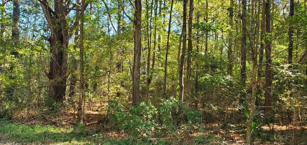 Lot 55 Mabe Drive, Summerton, SC 29148 - #1