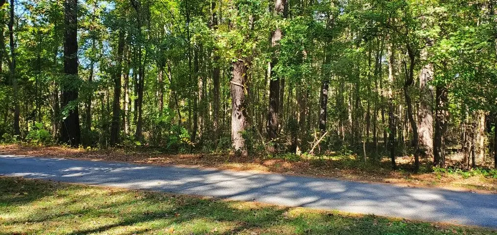 Lot 71 Mccoy Drive, Summerton, SC 29148 - #1