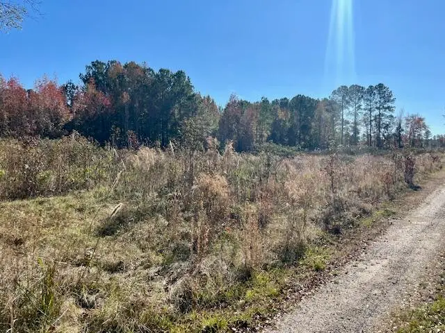 168 Country Downs Lane, Reevesville, SC 29471 - #3