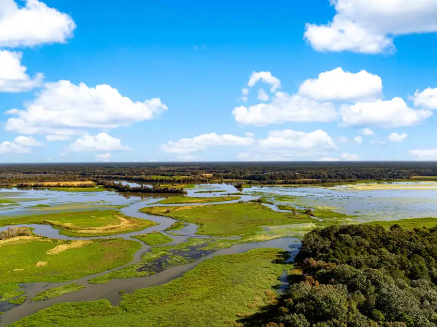 0 Point Comfort, Moncks Corner, SC 29461 - Image #3