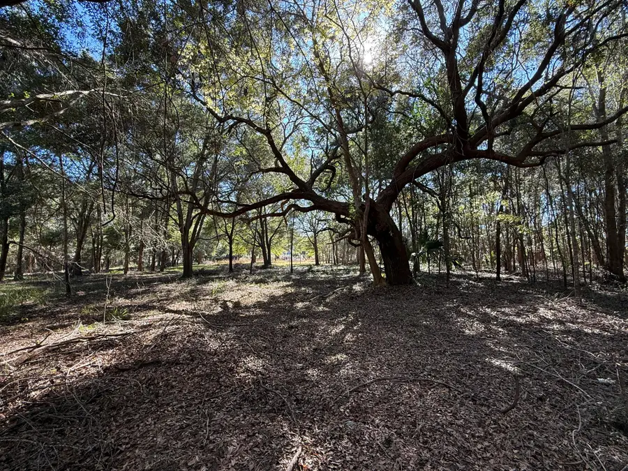 8341 Crooked Creek Lane, Edisto Island, SC 29438 - #2