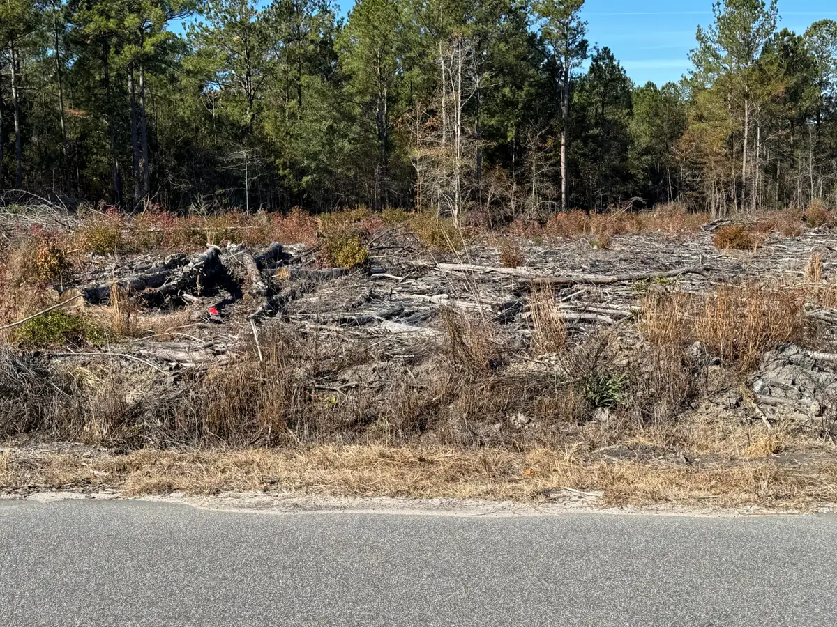 940 Fauling Road, Saint Stephen, SC 29479 - #1