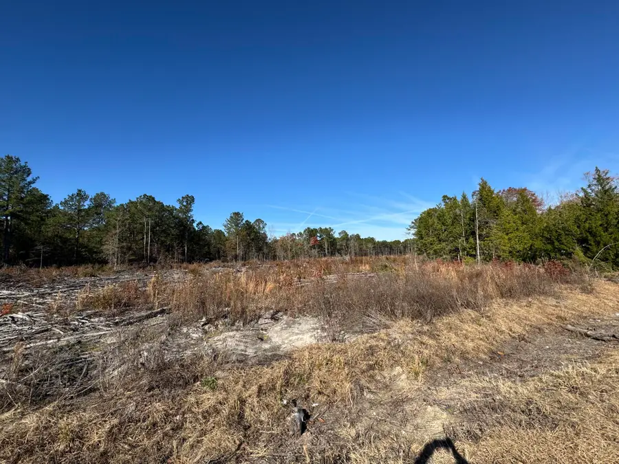 940 Fauling Road, Saint Stephen, SC 29479 - #3