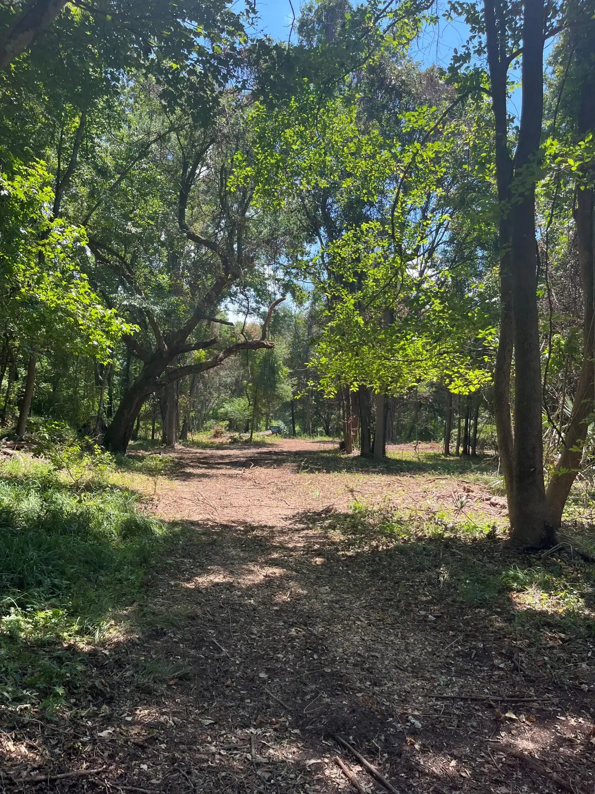 4280 River Road, Johns Island, SC 29455 - Image #1