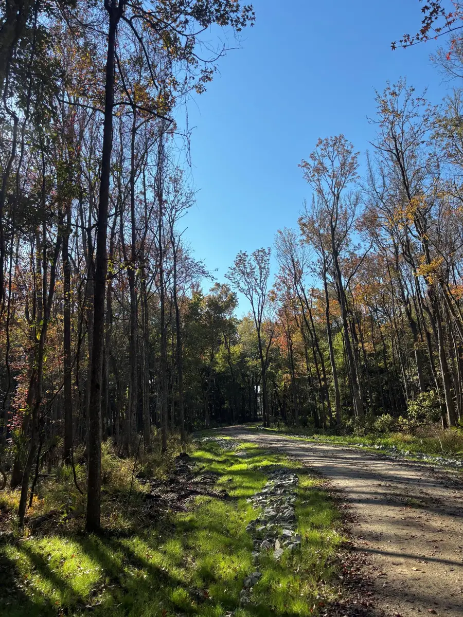 4280 River Road, Johns Island, SC 29455 - Image #2