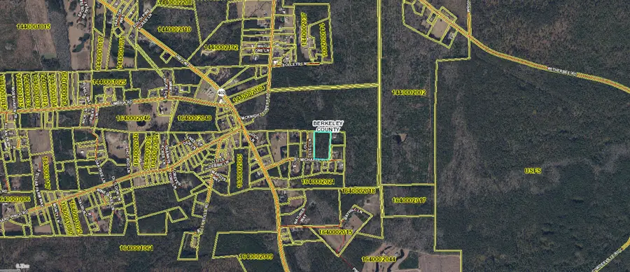 160 St. Michaels Place, Moncks Corner, SC 29461 - Image #3