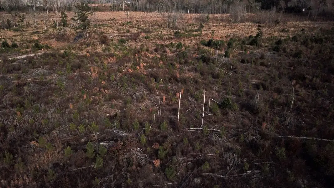 00 Hampton Avenue, Blackville, SC 29817 - #1