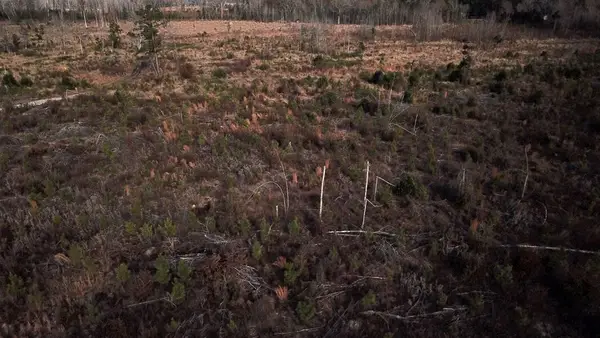 00 Hampton Avenue, Blackville, SC 29817