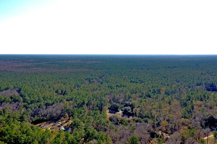 0 Pickin Parlor Lane, Cordesville, SC 29434 - #3