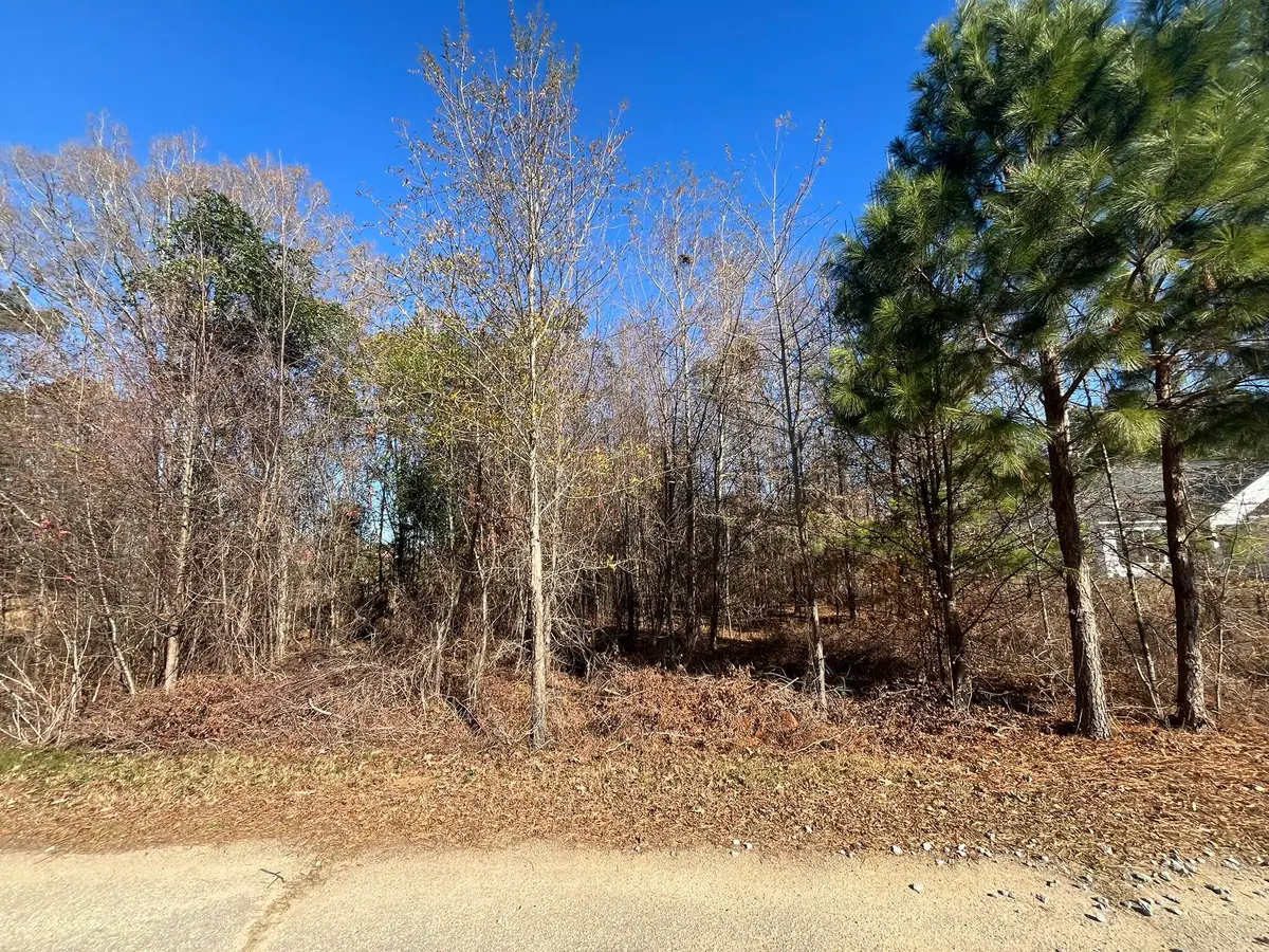 0 Tennis Lane, Summerton, SC 29148 - Image #1