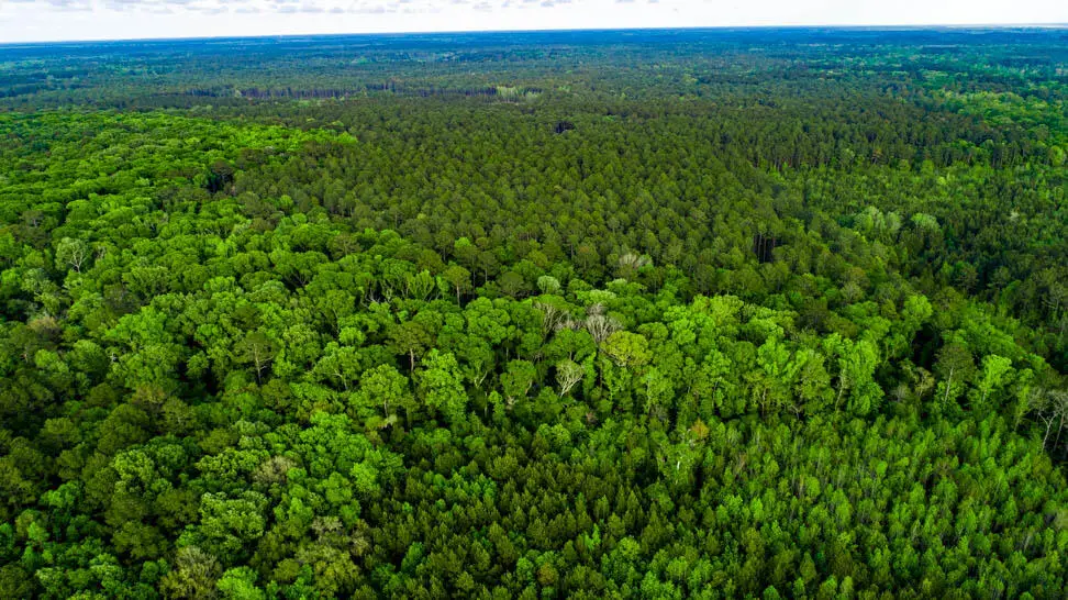 Tbd Dunham Williams Road, Hardeeville, SC 29927 - Image #1