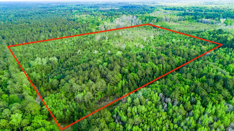 Tbd Dunham Williams Road, Hardeeville, SC 29927 - Image #3