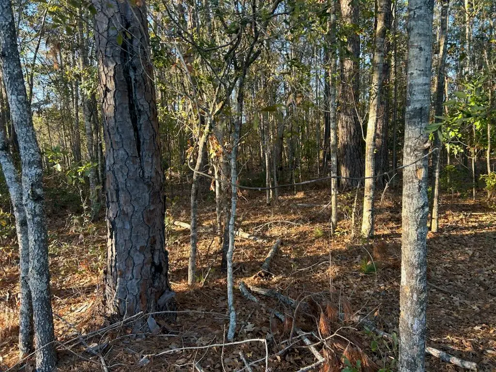 5860 Martin Street, Ravenel, SC 29470 - #1