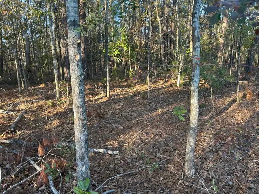 5860 Martin Street, Ravenel, SC 29470 - #2