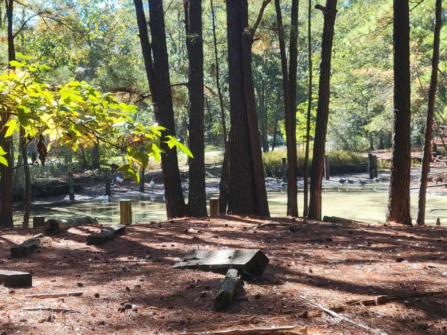 400 Murray Boulevard, Summerville, SC 29483 - Image #3