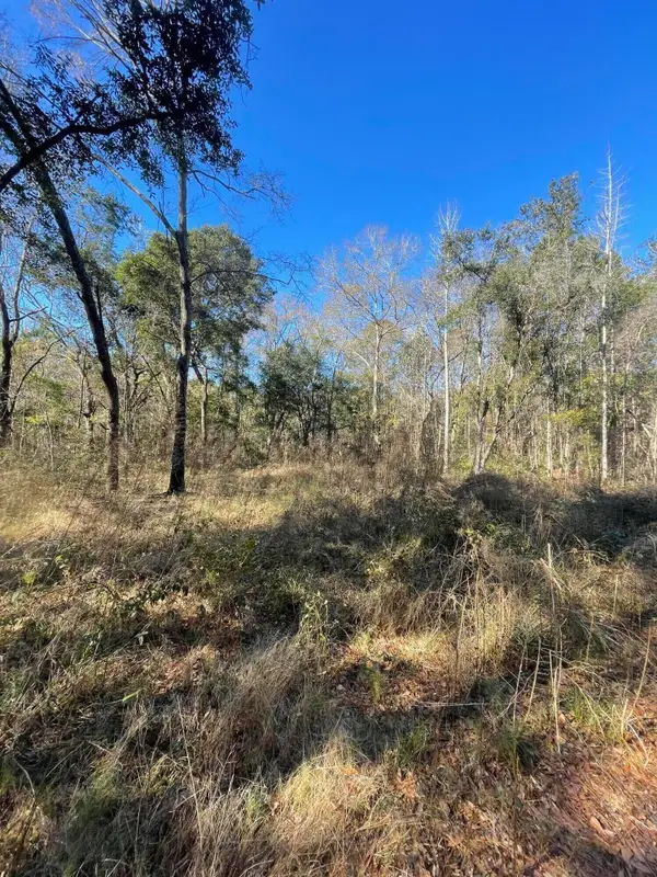 00 N Hwy 17, Awendaw, SC 29429