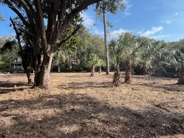 8917 Palmetto Road, Edisto Island, SC 29438 - Image #3