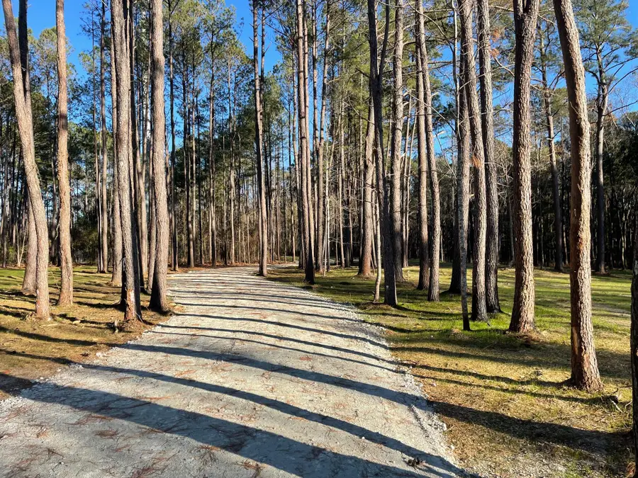 127 Gen Estates Lane, Summerville, SC 29486 - Image #2