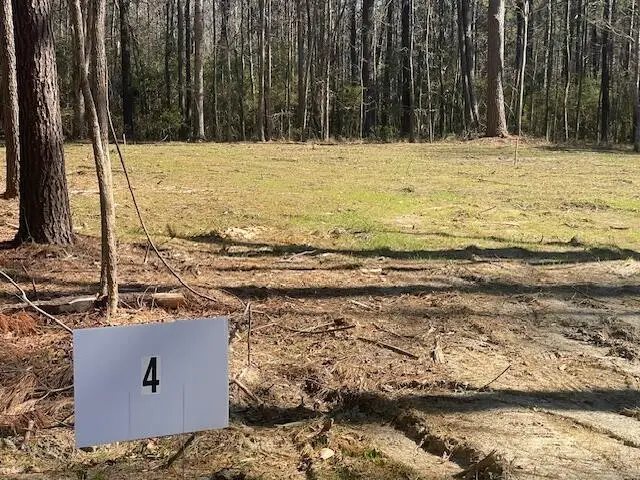 127 Gen Estates Lane, Summerville, SC 29486 - Image #3