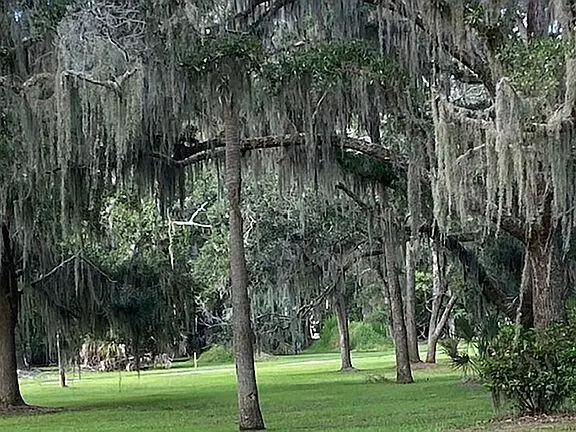 83 Cocktail Lane, Green Pond, SC 29438 - #2