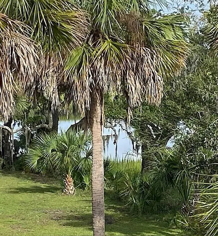 83 Cocktail Lane, Green Pond, SC 29438 - #3