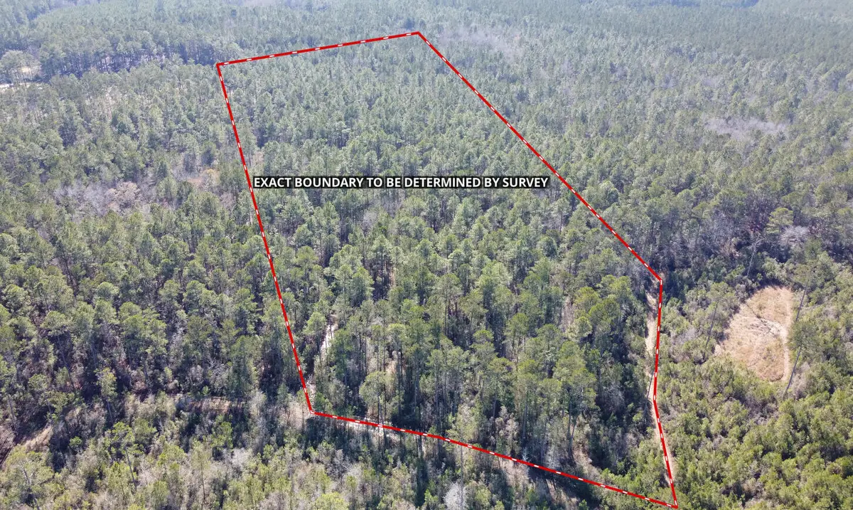 18 Rehoboth Road, Cottageville, SC 29435 - Image #1