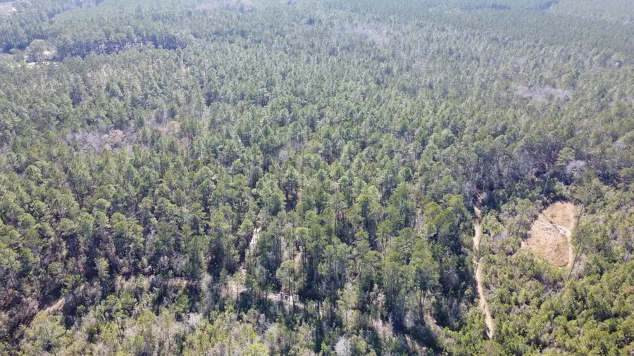 18 Rehoboth Road, Cottageville, SC 29435 - Image #3