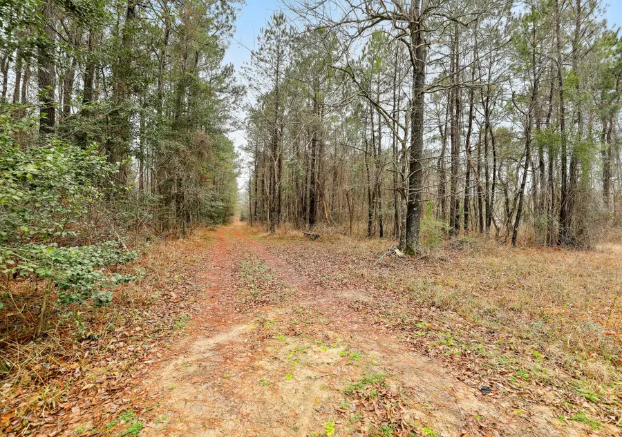 0 Santee River Road, Saint Stephen, SC 29479 - #2