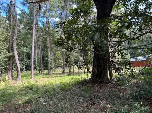 6224 Martin Street, Ravenel, SC 29470